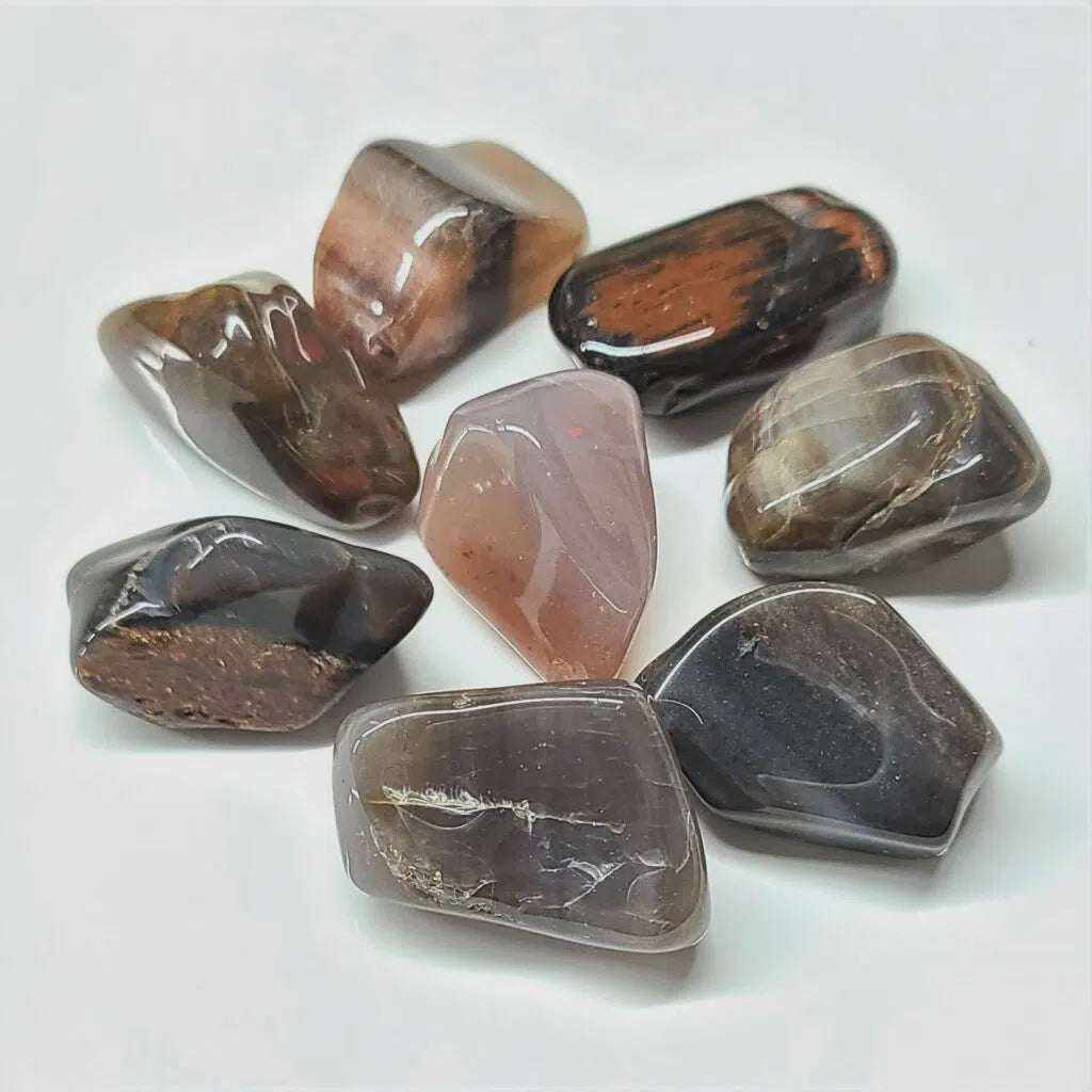 Petrified Wood Tumbled Stone Sacred Crystals
