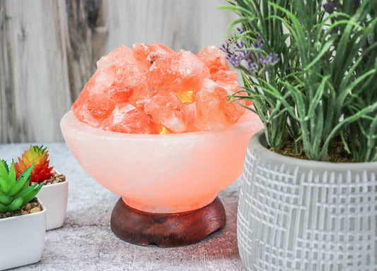 Himalayan Salt "Fire On Ice" Abundance Bowl 7" Sacred Crystals