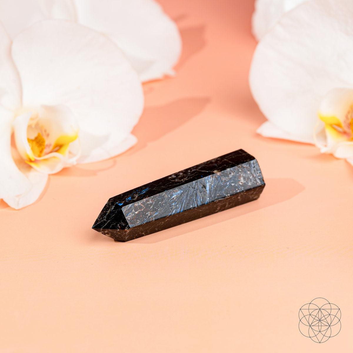 This Is Your Breakthrough – Rare Arfvedsonite Point Conscious Items