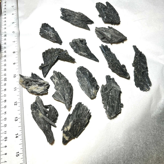 Black Kyanite Rough Sacred Crystals