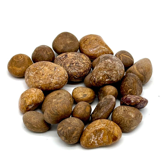 Mariam Jasper Tumbled Stone (Pebble Size): The Alchemist Stone Sacred Crystals