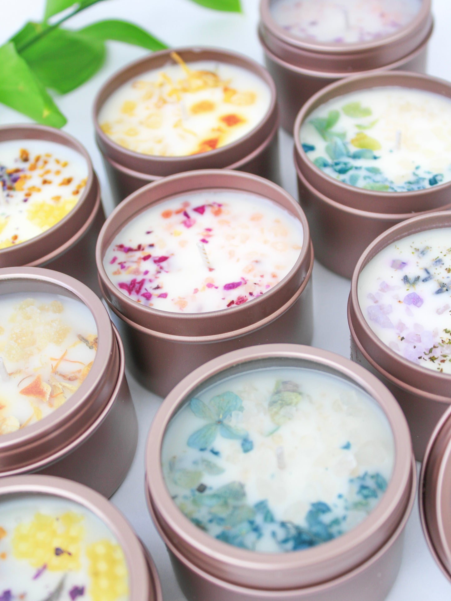 Unlabeled 4 oz Botanical Soy Wax Candles - Party Favors Ash & Rose