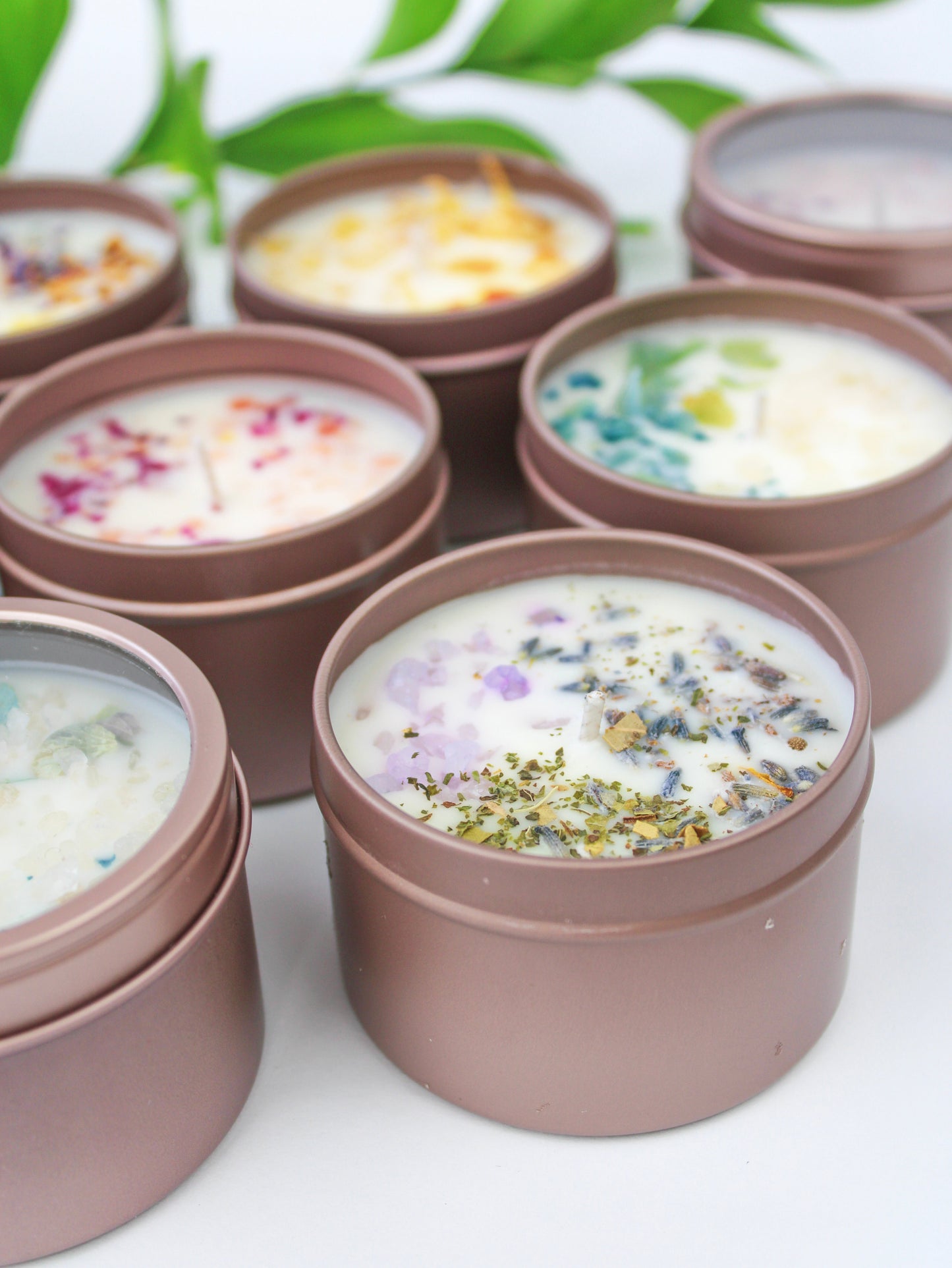 Unlabeled 4 oz Botanical Soy Wax Candles - Party Favors Ash & Rose