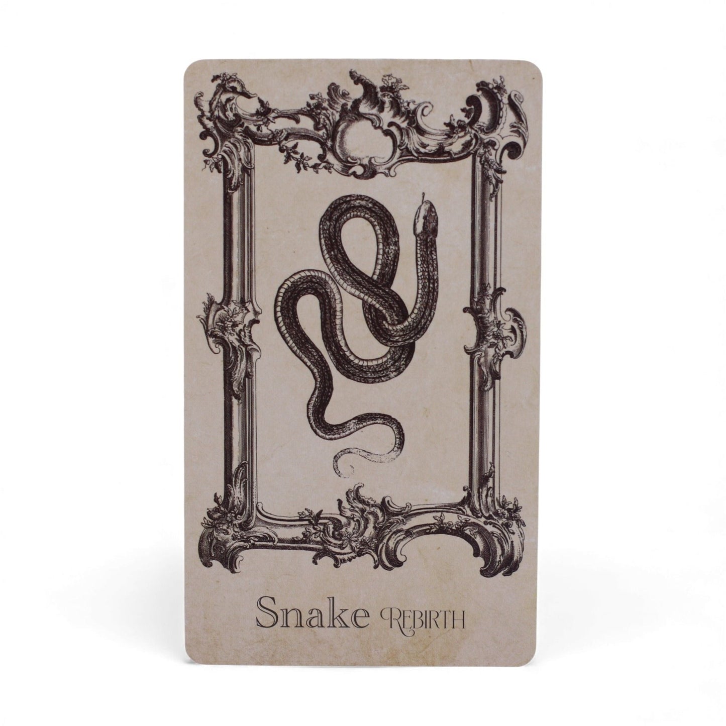 The Spellbook Oracle Cards- Witchcraft Deck Midnightt Light