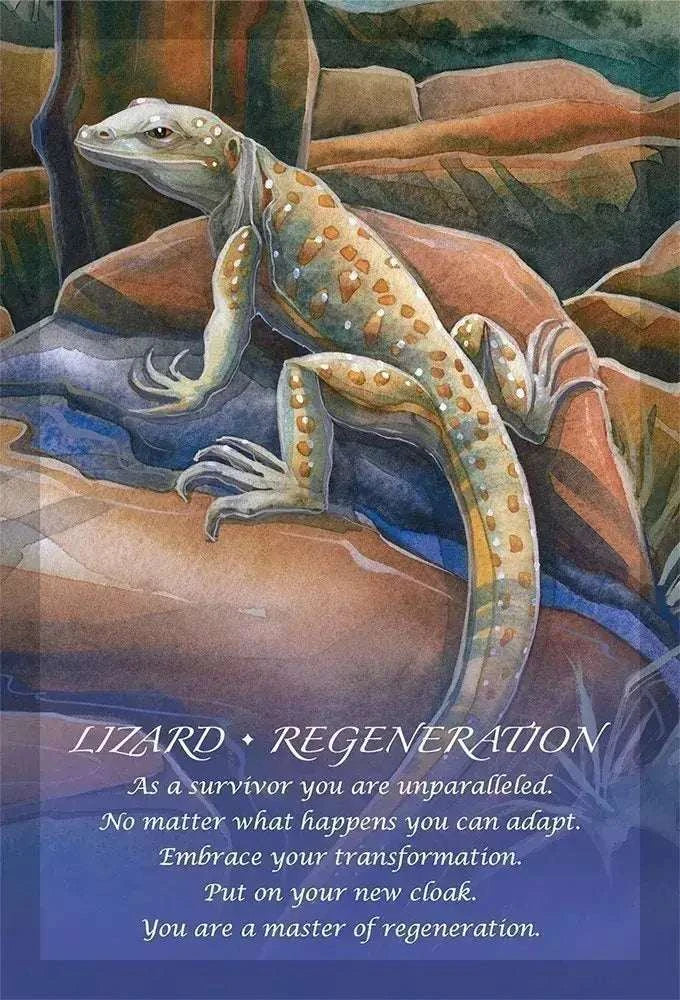 Spirit Of The Animals Oracle Deck Sacred Crystals