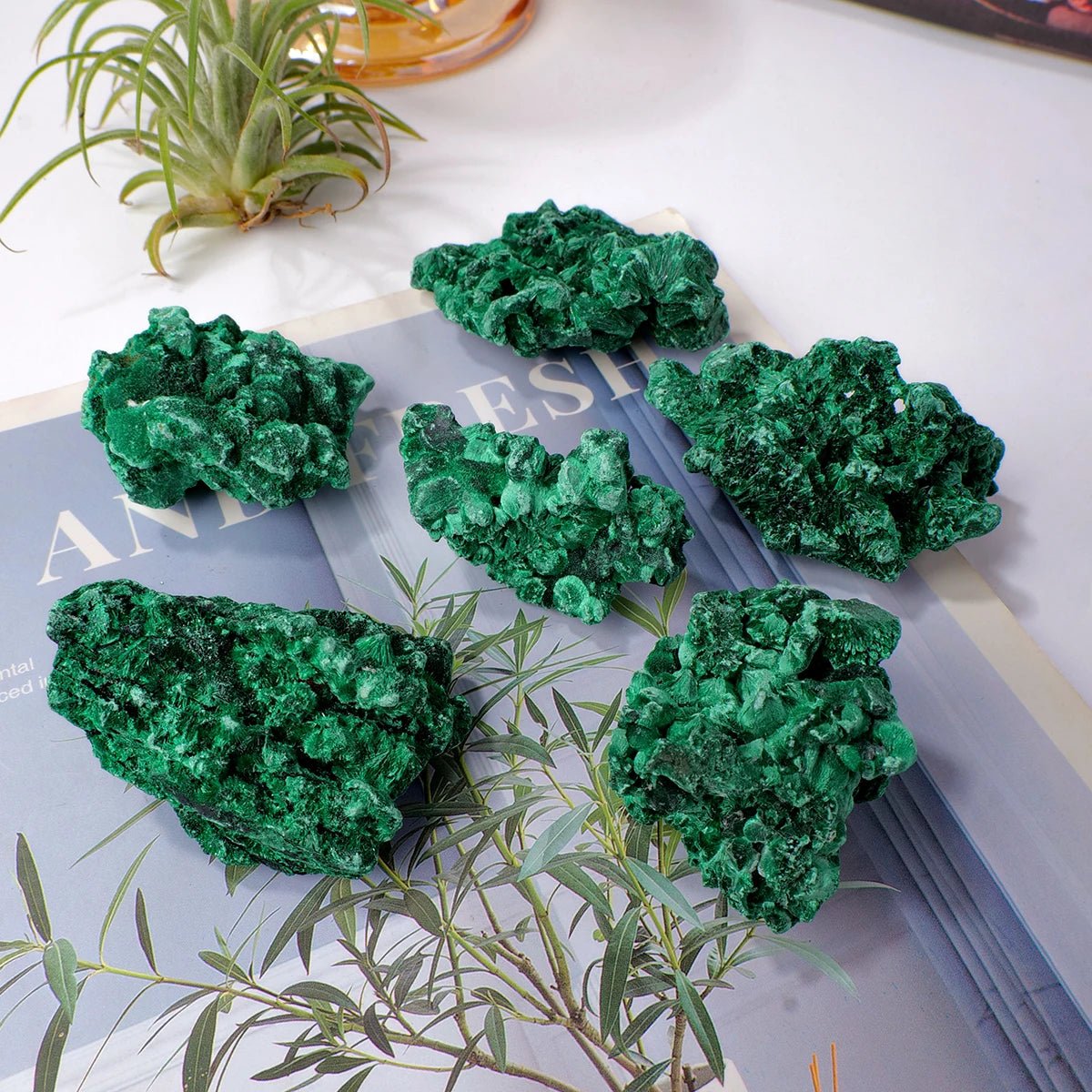 Natural Malachite Raw Mineral Specimen Midnightt Light