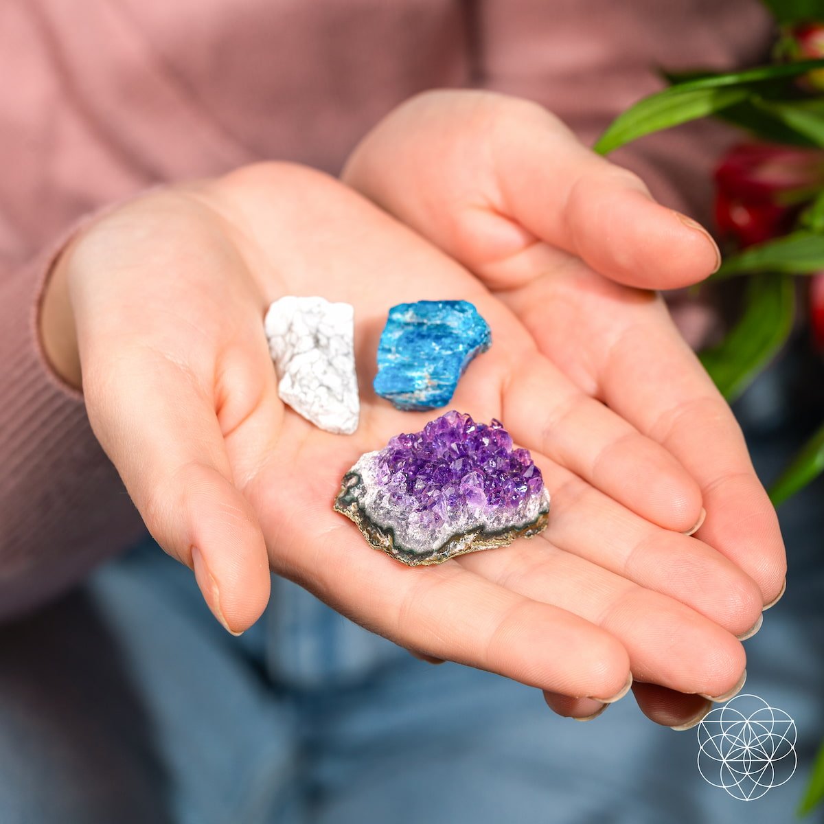 The Anti-Anxiety Trio Conscious Items