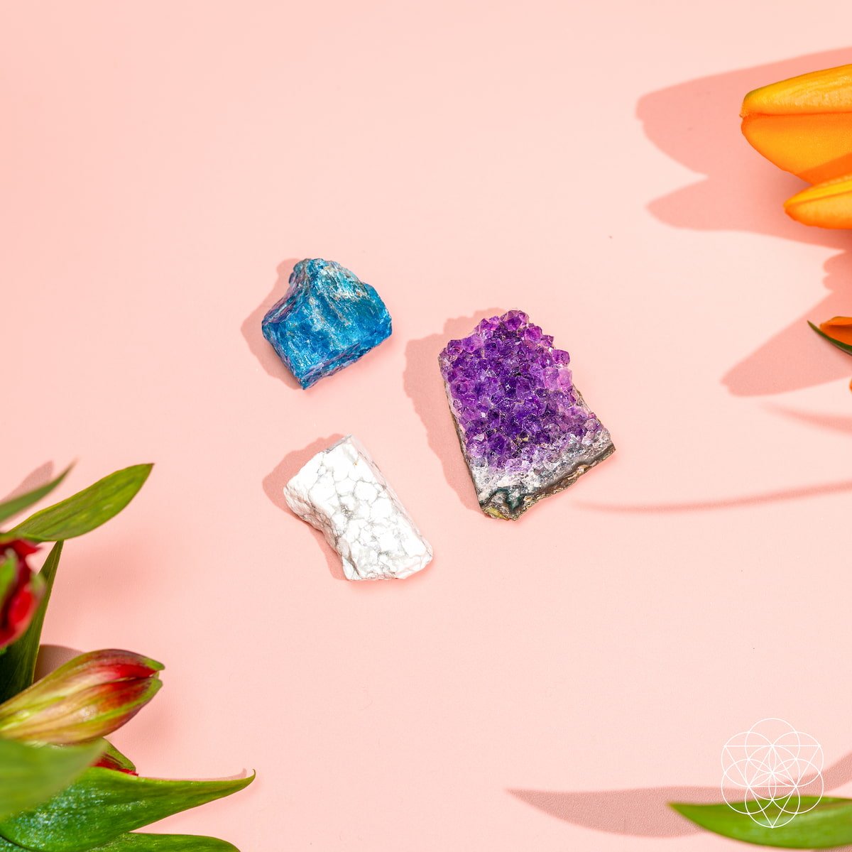 The Anti-Anxiety Trio Conscious Items