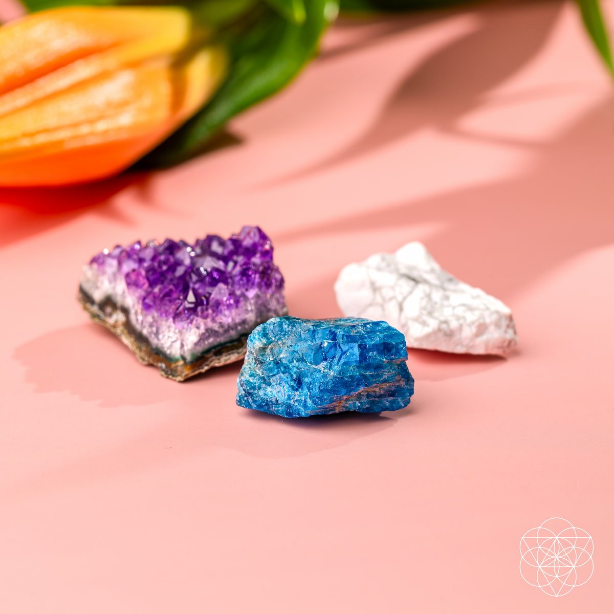 The Anti-Anxiety Trio Conscious Items