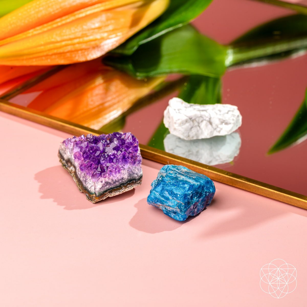 The Anti-Anxiety Trio Conscious Items