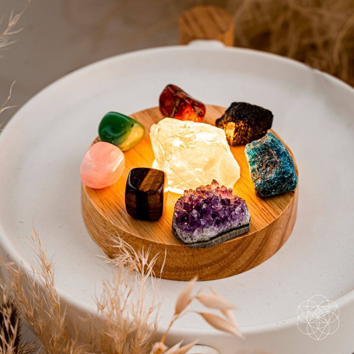 The Natural Energy Lamp Conscious Items