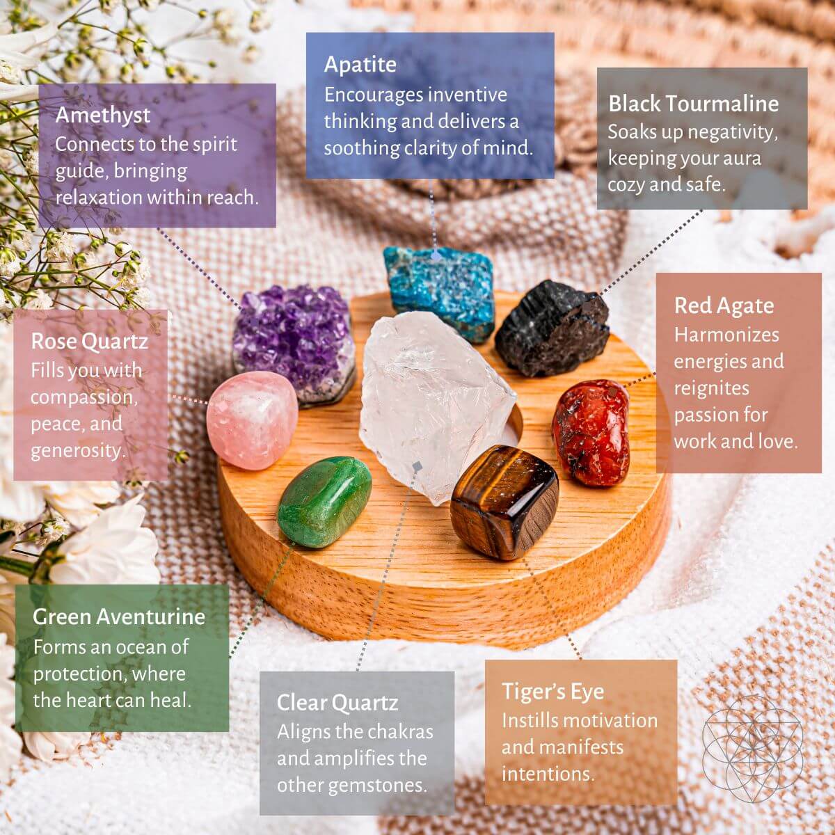 The Natural Energy Lamp Conscious Items