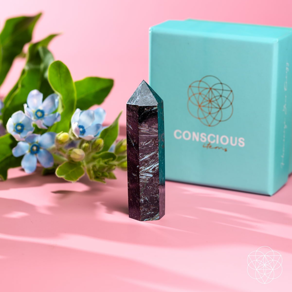 This Is Your Breakthrough – Rare Arfvedsonite Point Conscious Items