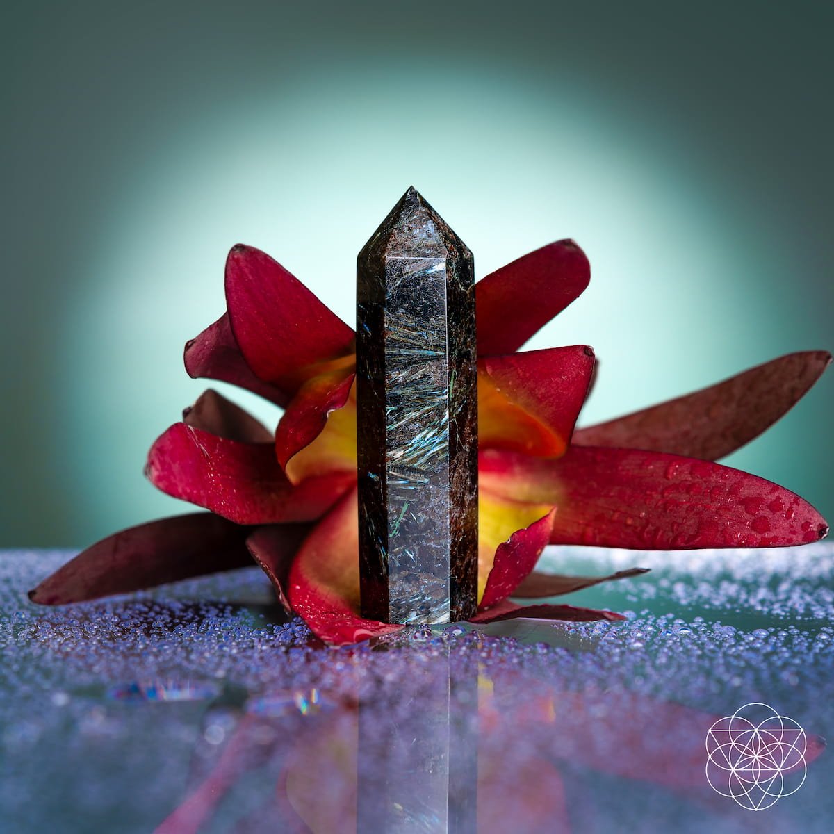 This Is Your Breakthrough – Rare Arfvedsonite Point Conscious Items