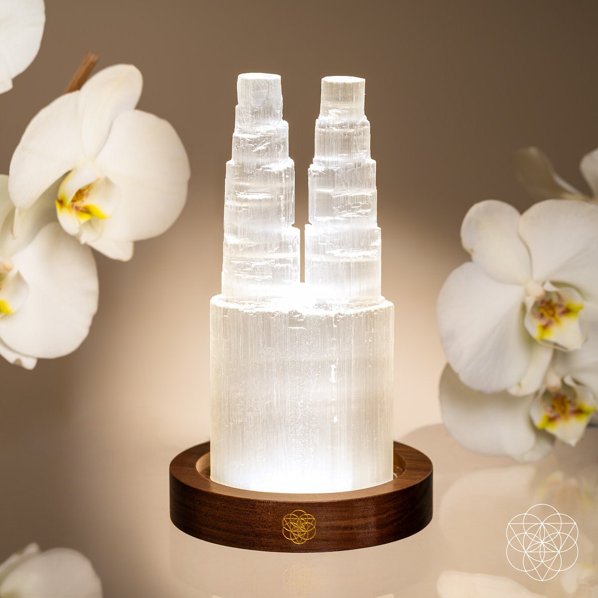 Two-Tower Selenite Lamp – Deep Energy Cleanse & Reset Conscious Items